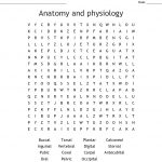 Anatomy And Physiology Word Search   Wordmint