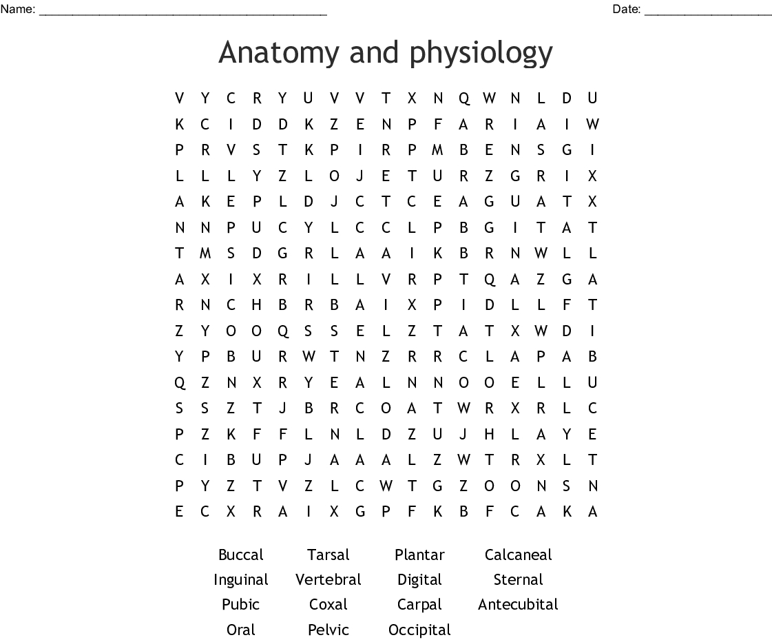 Anatomy And Physiology Word Search - Wordmint