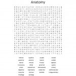 Anatomy Word Search   Wordmint