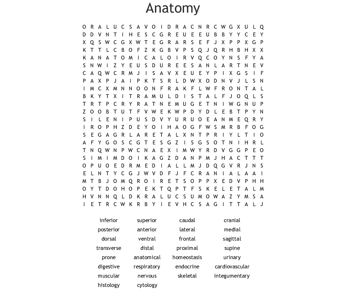 Anatomy Word Search - Wordmint