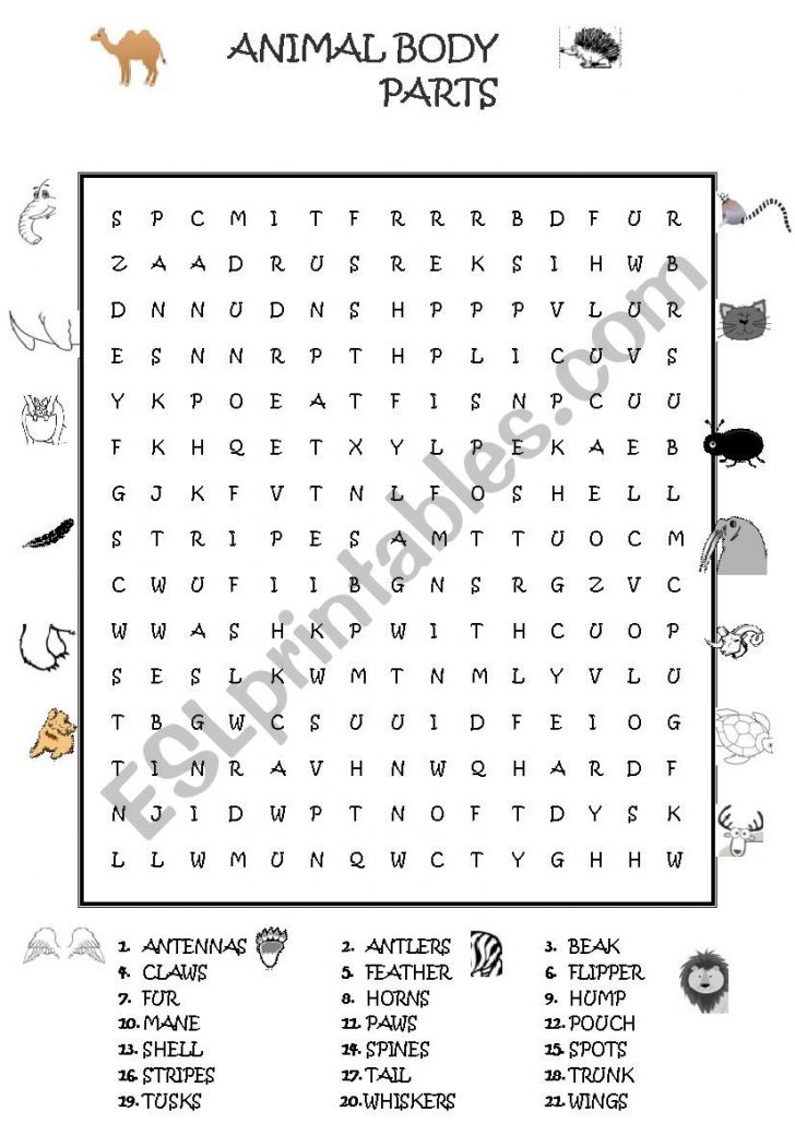 animal-body-parts-wordsearch-esl-worksheetguveri-word-search-printable