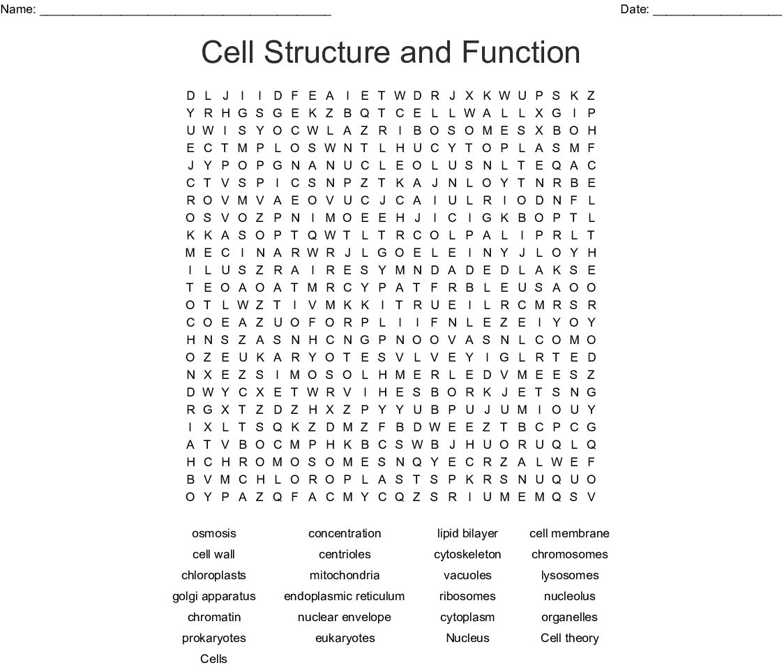 Plant And Animal Cell Word Search