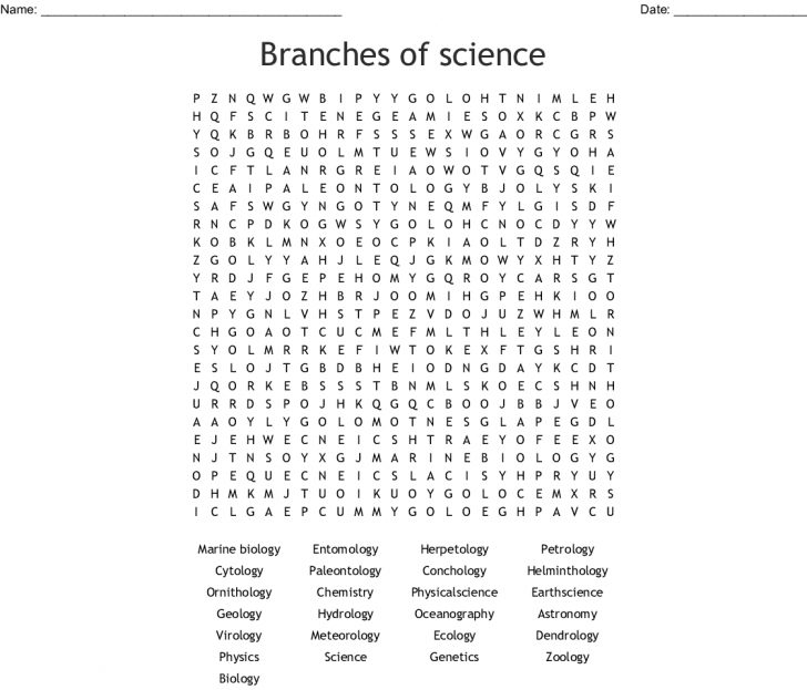 Branches Of Science Word Search Answer Key