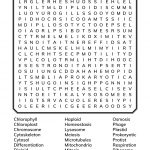 Cell Biology Word Search