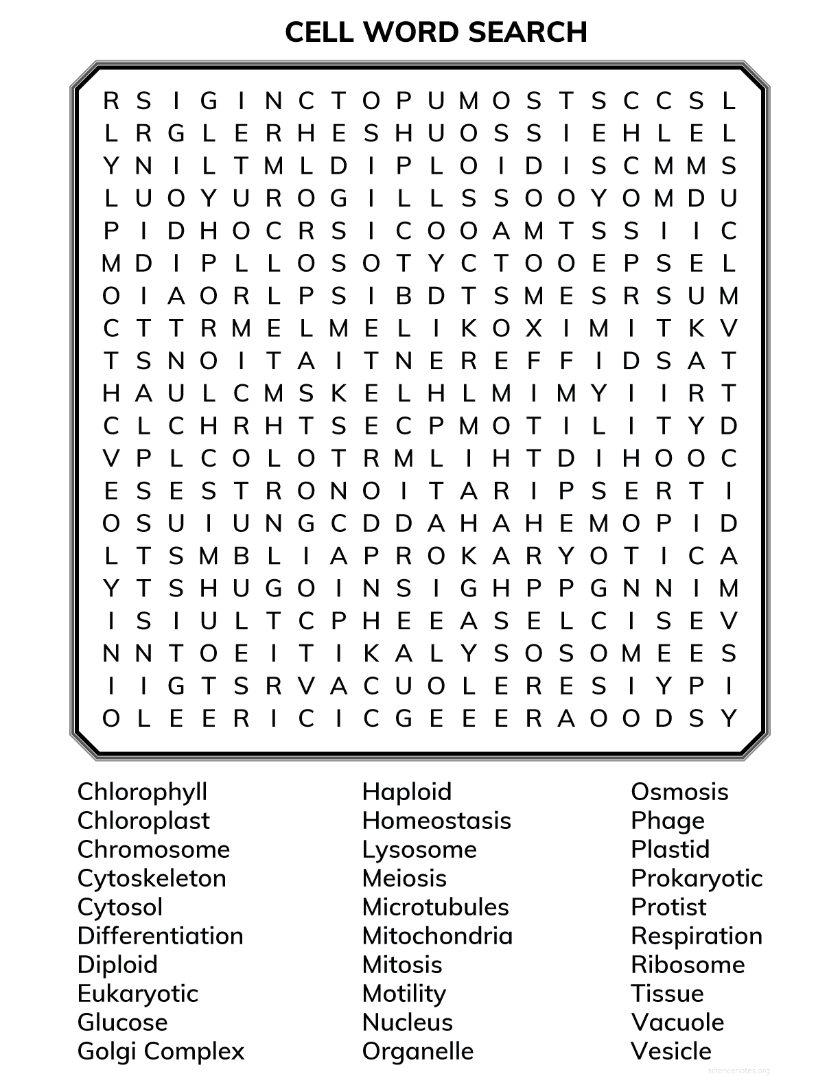 Animal & Plant Cell Word Search - Wordmint | Word Search Printable