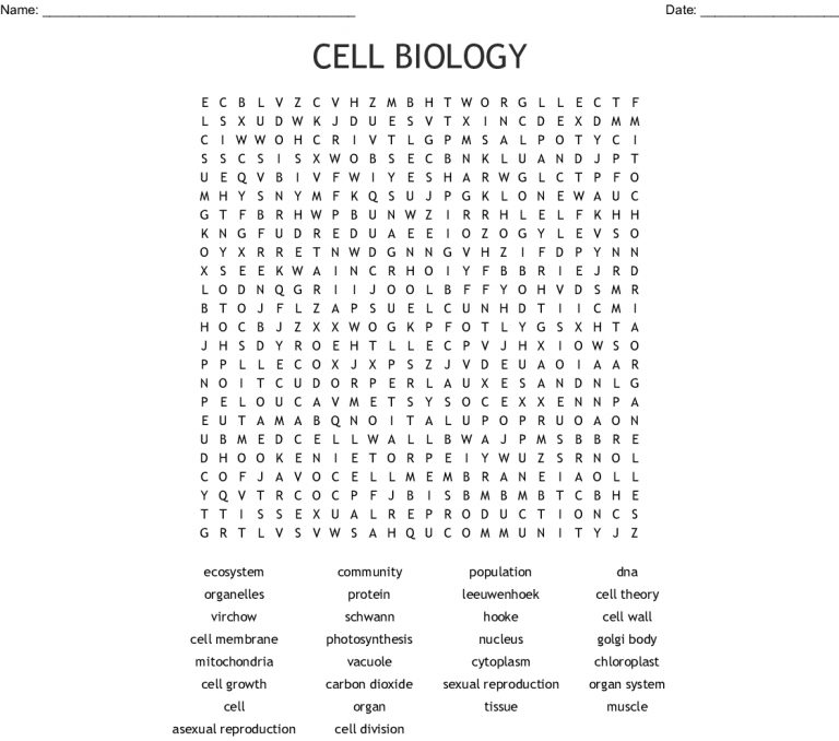 Biology Word Search Key