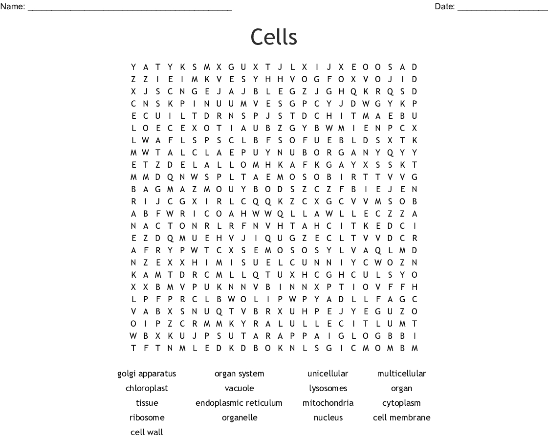 Cell Structure Word Search Answers