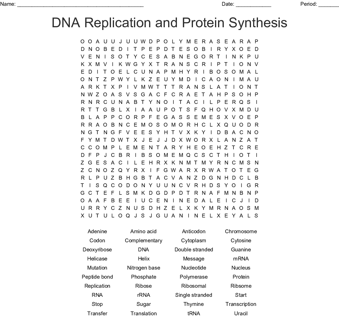 Dna Replication And Protein Synthesis Word Search - Wordmint