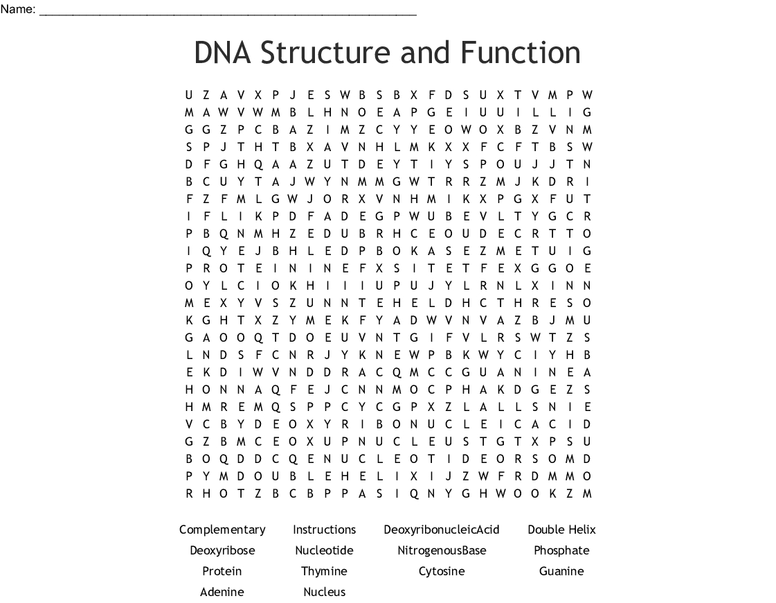 Dna Structure And Function Word Search - Wordmint