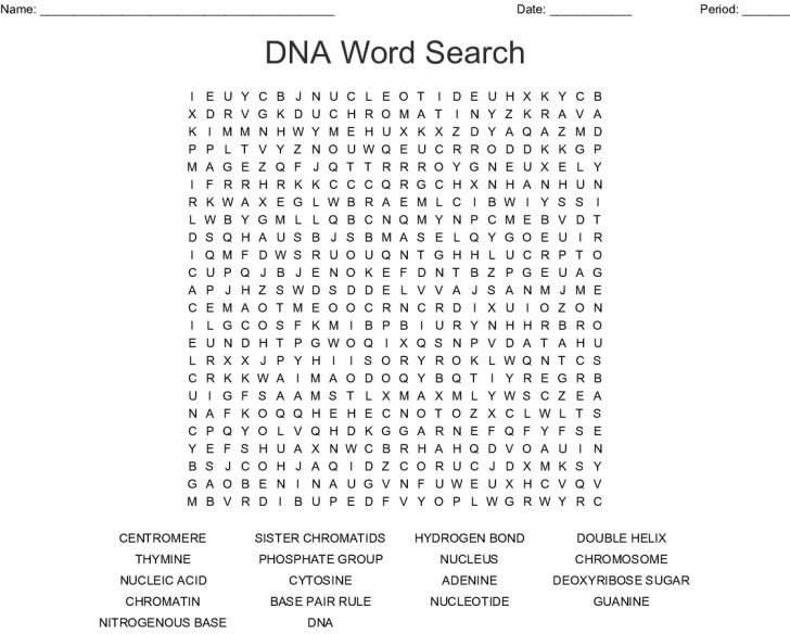 Dna Word Search Printable