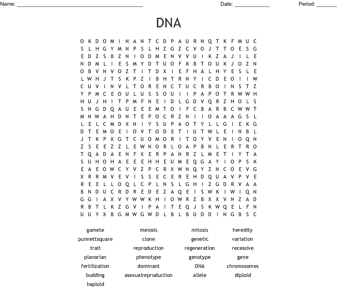 Dna Word Search Worksheet | Printable Worksheets And