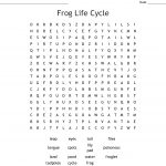 Frog Life Cycle Word Search   Wordmint