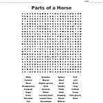 Horse Terms Word Search   Wordmint