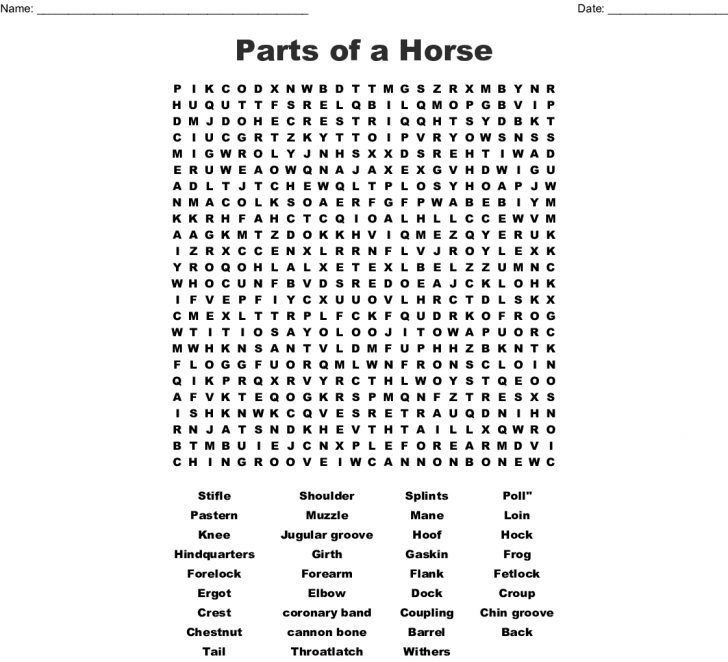 Horse Word Search Puzzles Printable