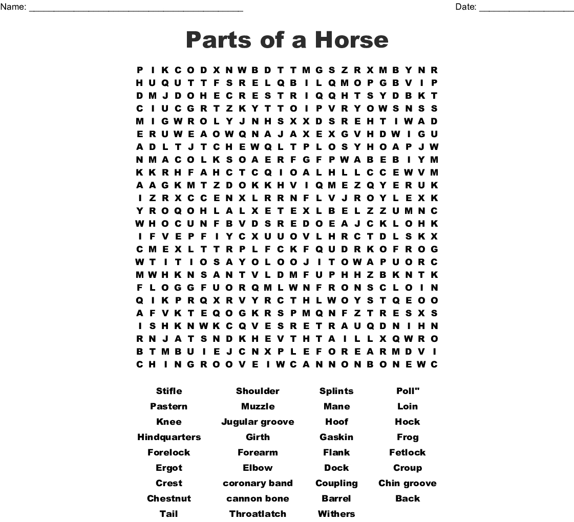 Horse Terms Word Search - Wordmint