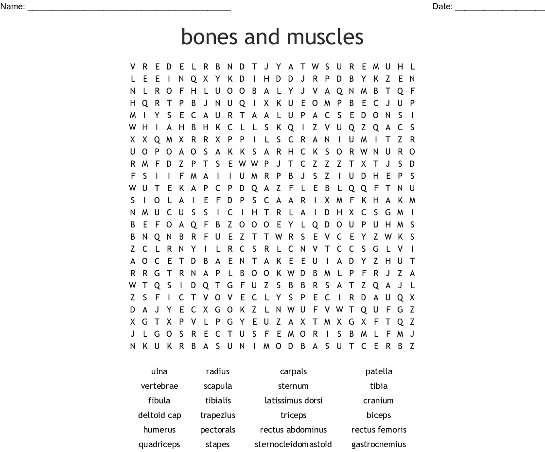 Muscles And Bones Word Search - Wordmint