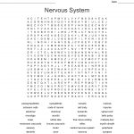 Nervous System Word Search   Wordmint