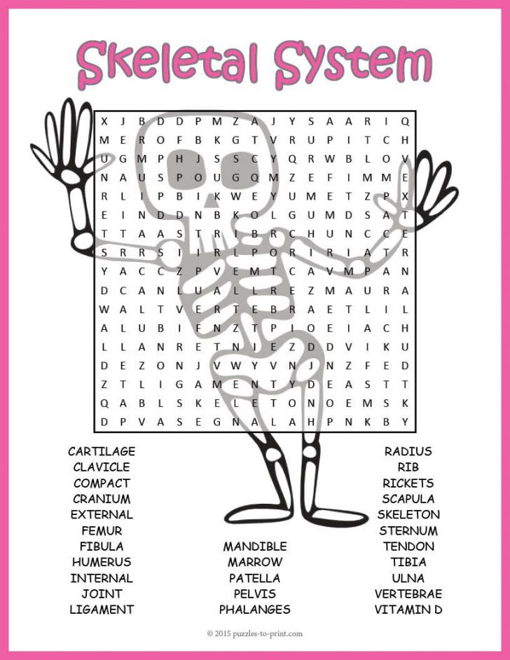 no-prep-skeletal-system-activity-human-skeleton-word-word-search