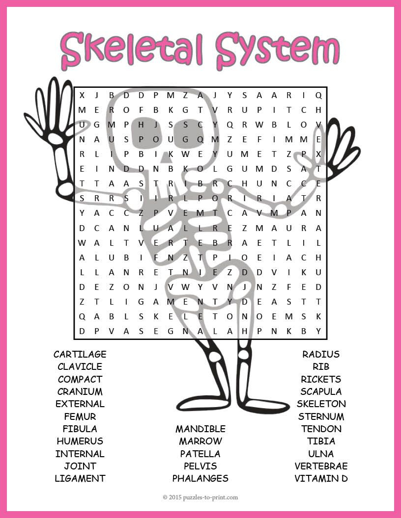 No Prep Skeletal System Activity - Human Skeleton Word