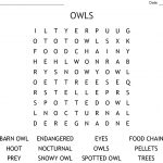 Owls Word Search   Wordmint