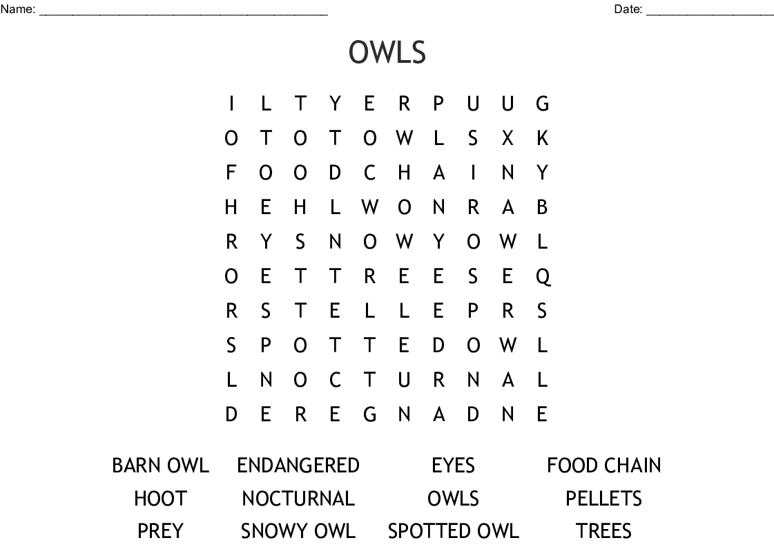 Owls Word Search - Wordmint