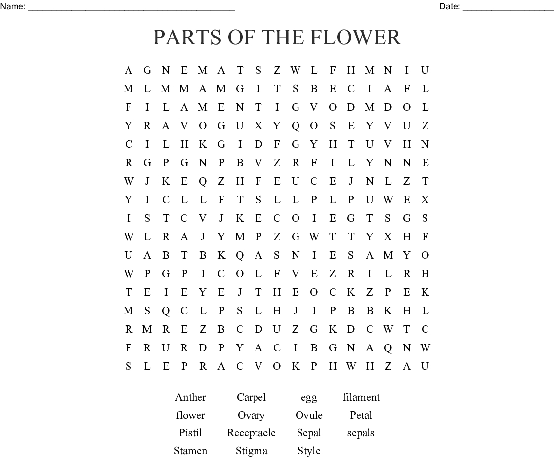 Parts Of The Flower Word Search - Wordmint