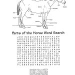 Parts Of The Horse Word Search … | Horse Lessons, Horses