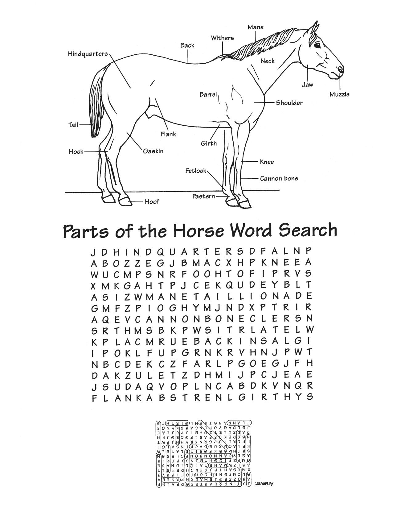 Parts Of The Horse Word Search … | Horse Lessons, Horses