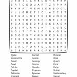 Rocks And Minerals Word Search