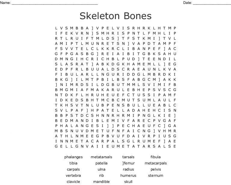 skeleton-bones-word-search-wordmint-word-search-printable