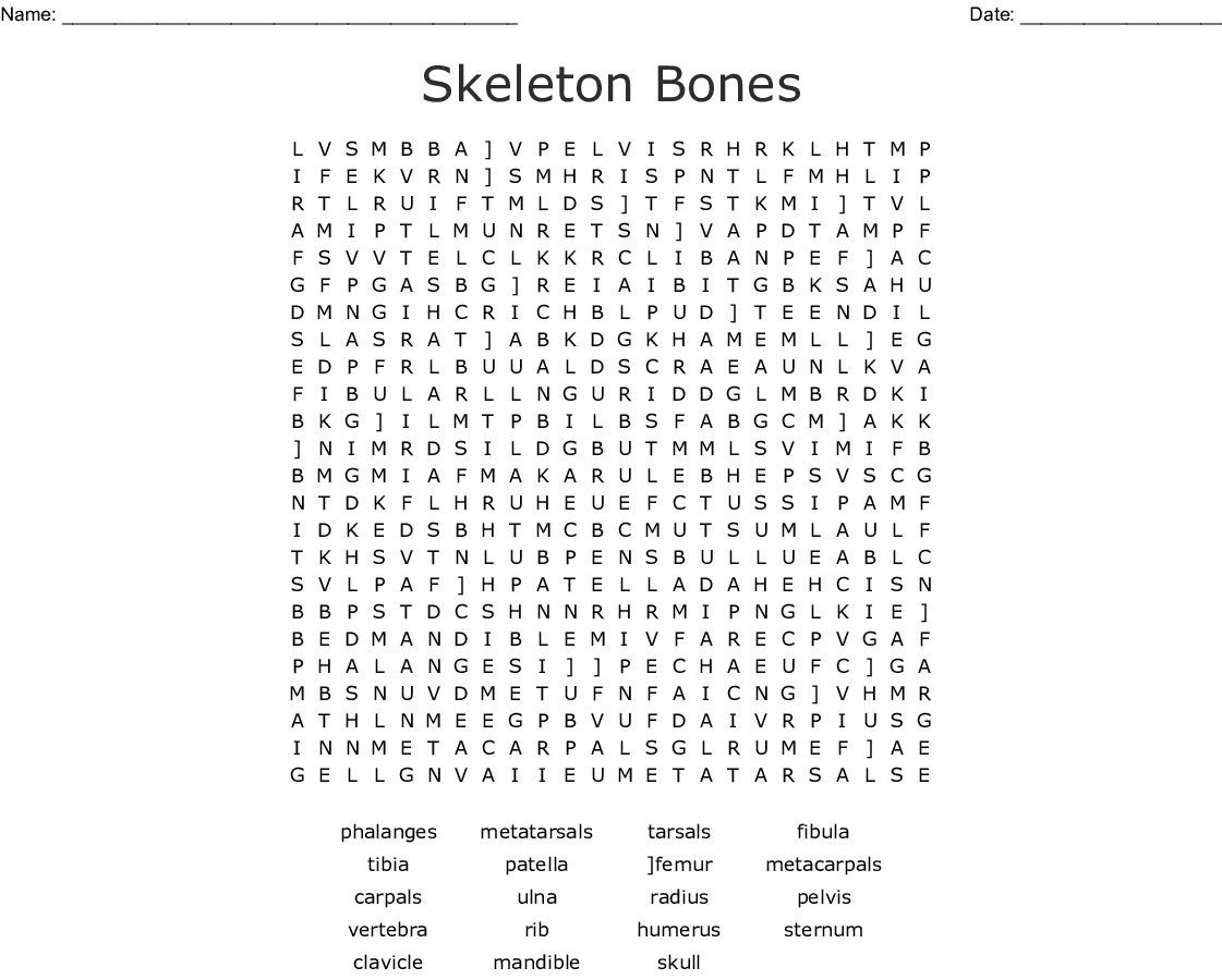 Skeletal System Word Search Printable Word Search Printable - kulturaupice