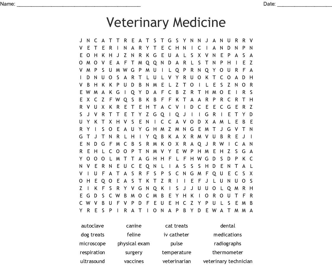 Veterinary Medicine Word Search - Wordmint