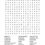 Wild Cats Word Search