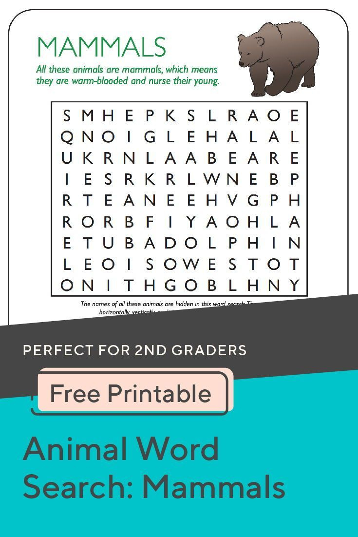 Animal Word Search: Mammals | Mammals, Free Printable Word