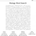 Biology Word Search   Wordmint