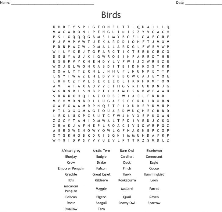 Birds Word Search Wordmint Word Search Printable