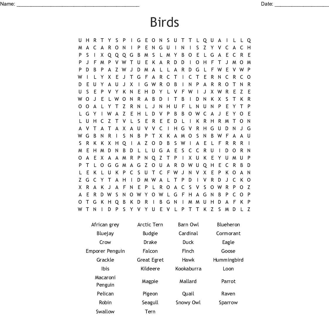 Birds Word Search - Wordmint