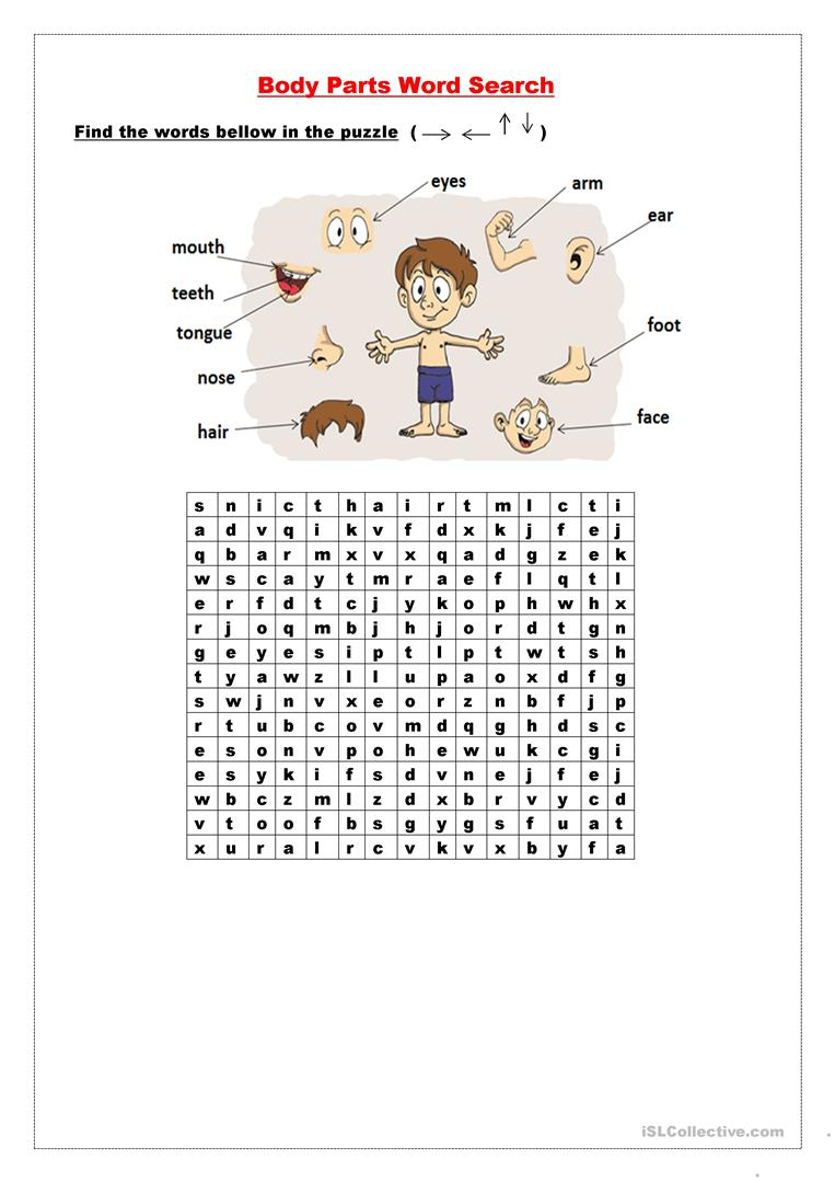 Body Parts Wordsearch - English Esl Worksheets For Distance