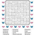 Butterfly Word Search