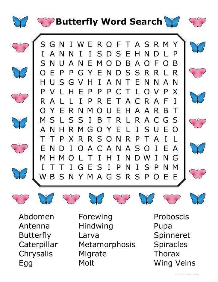 Butterfly Word Search Printable