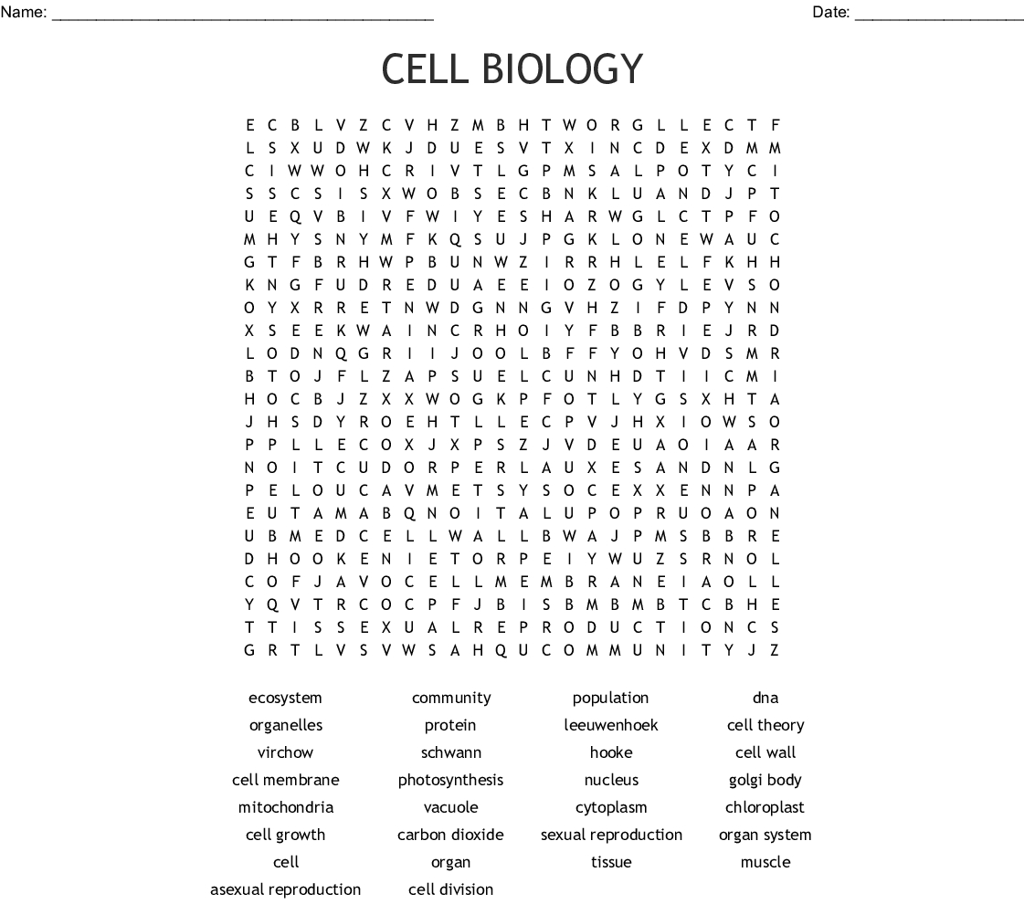 Cell Biology Word Search - Wordmint