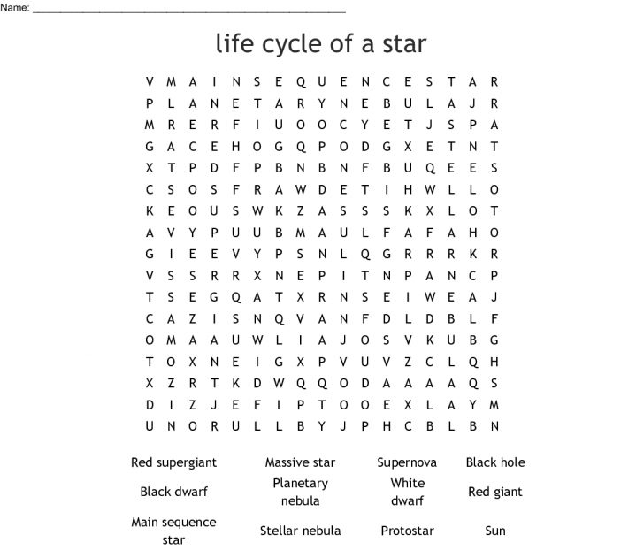 Life Cycle Word Search Printable