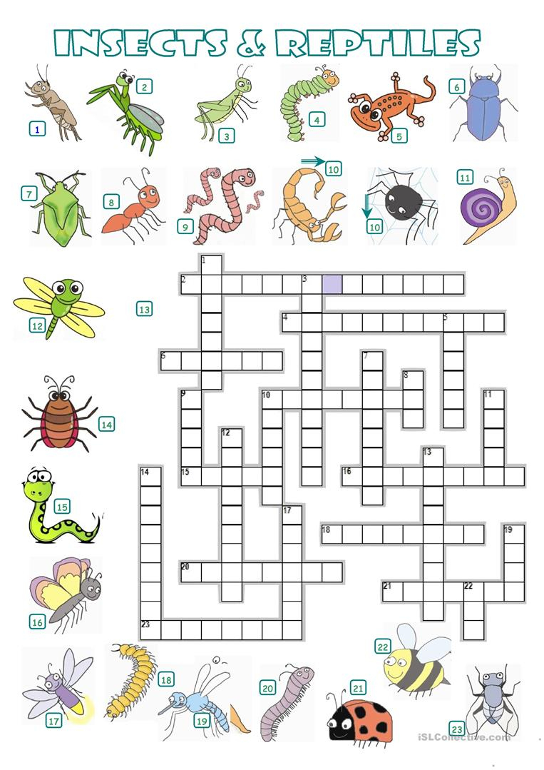 Crossword - Insects And Reptiles - English Esl Worksheets