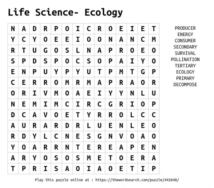 Ecology Word Search - Interactive Worksheet | Word Search Printable