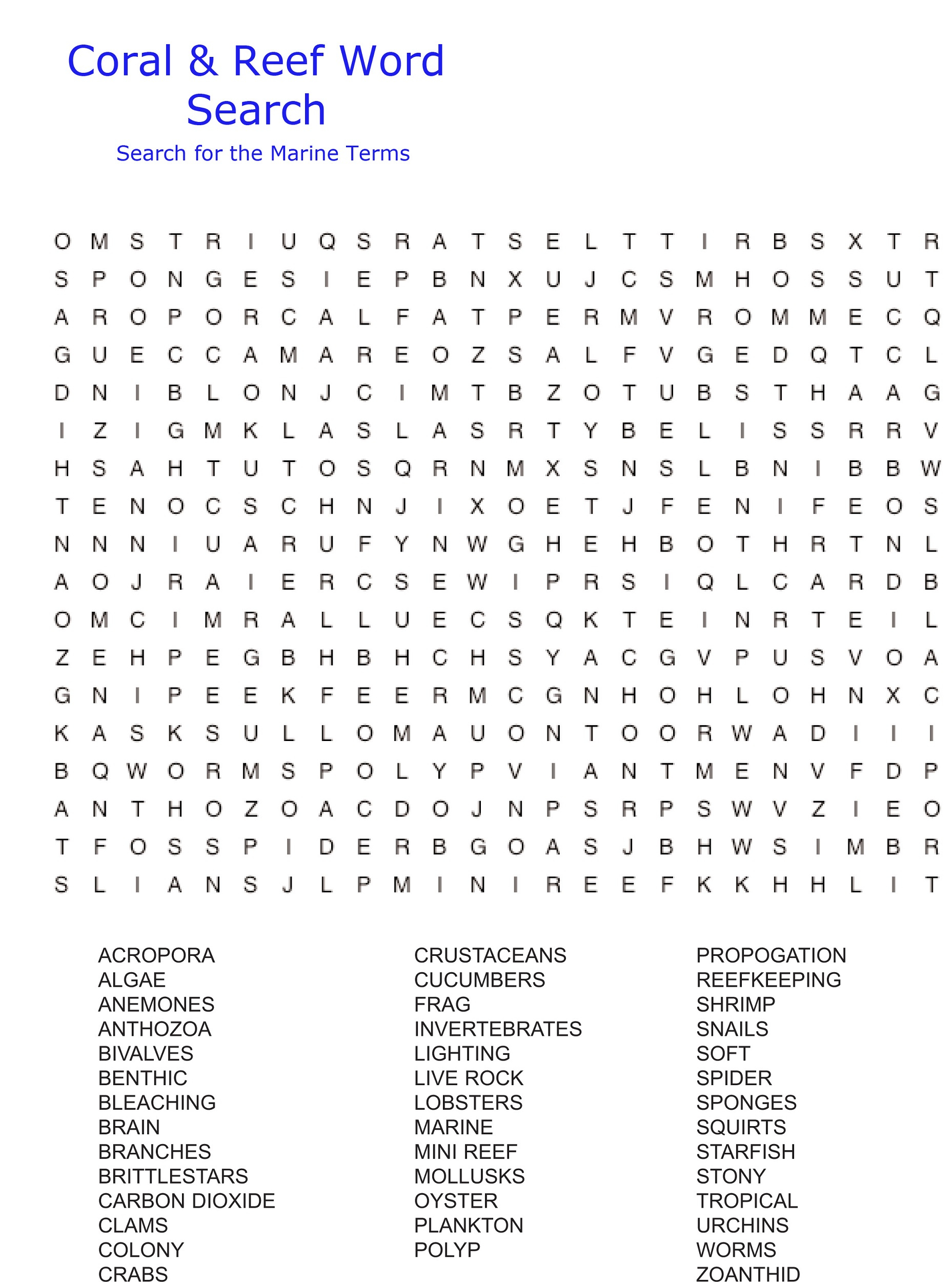 Fish Word Search Printable | Printable Shelter