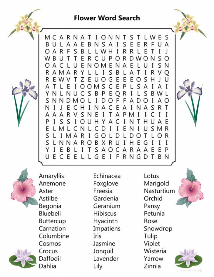 Flower Word Search Printable