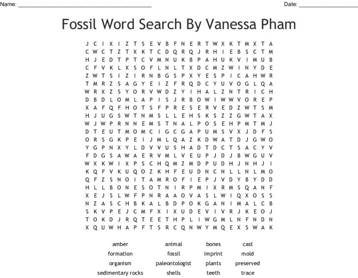 Fossil Word Search Printable