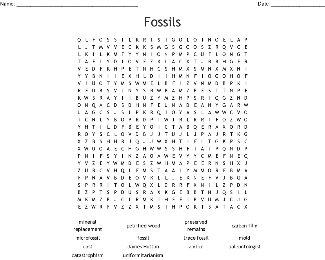 Fossil Word Search Pdf