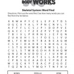 Fun Word Search For Older Children. How The Body Works