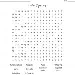 Life Cycles Word Search   Wordmint